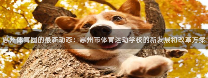 公海赌赌船官方正版app娱乐是那个系列的台子:惠州体育圈的最