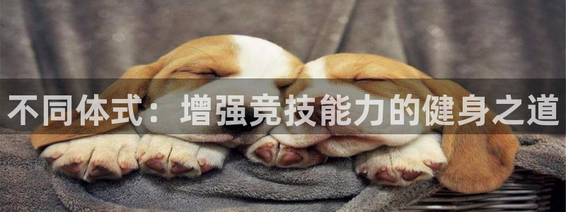 公海赌赌船官网下载平台是正规平台吗知乎:不同体式:增强竞技能